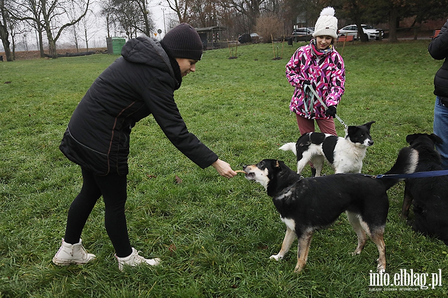 Mikoajkowy Bieg na 6 ap, fot. 7