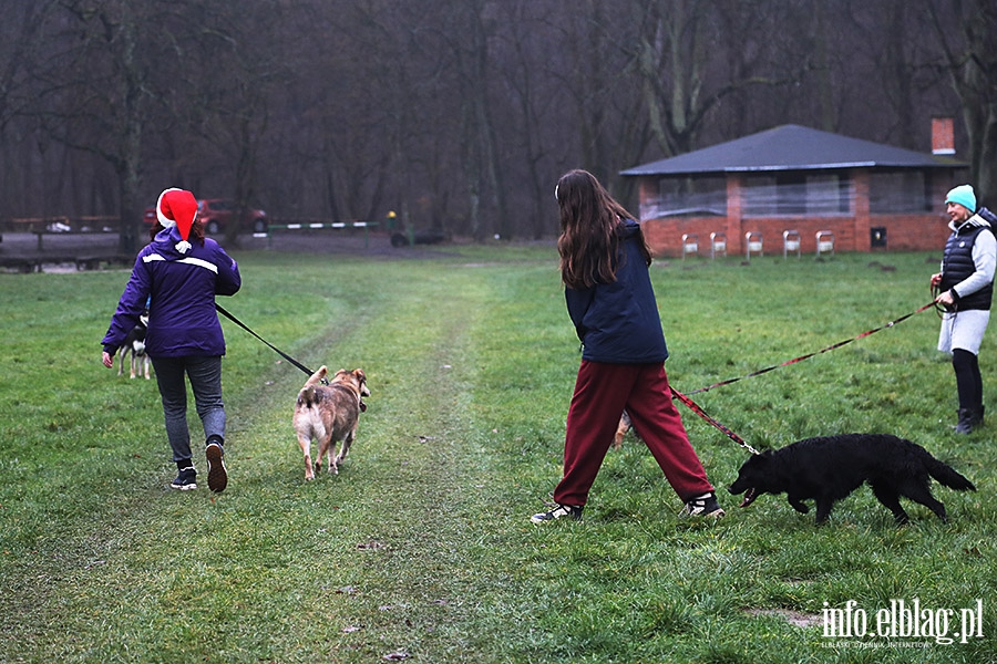 Mikoajkowy Bieg na 6 ap, fot. 8