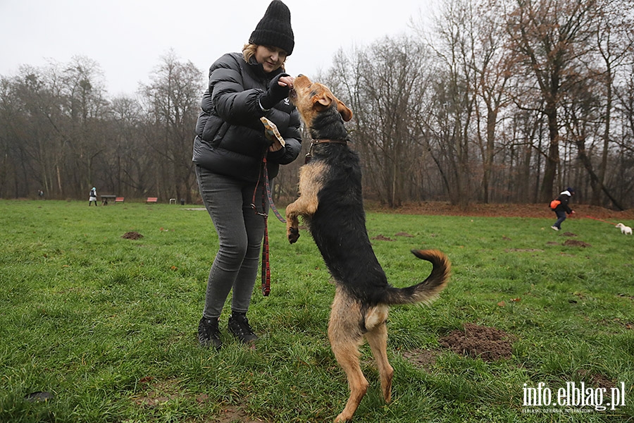 Mikoajkowy Bieg na 6 ap, fot. 9