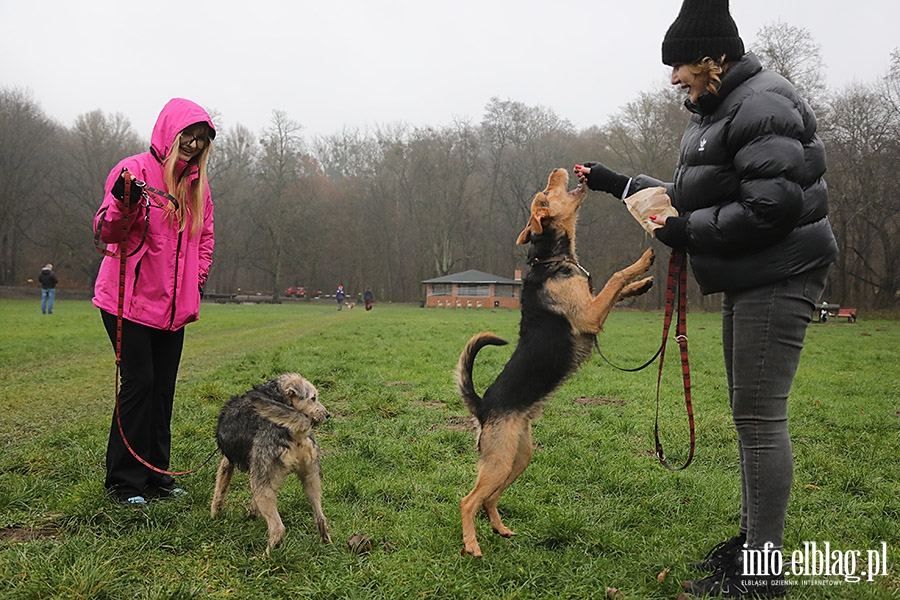 Mikoajkowy Bieg na 6 ap, fot. 10