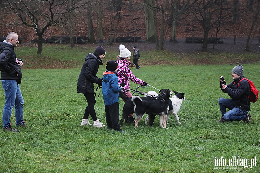Mikoajkowy Bieg na 6 ap, fot. 12