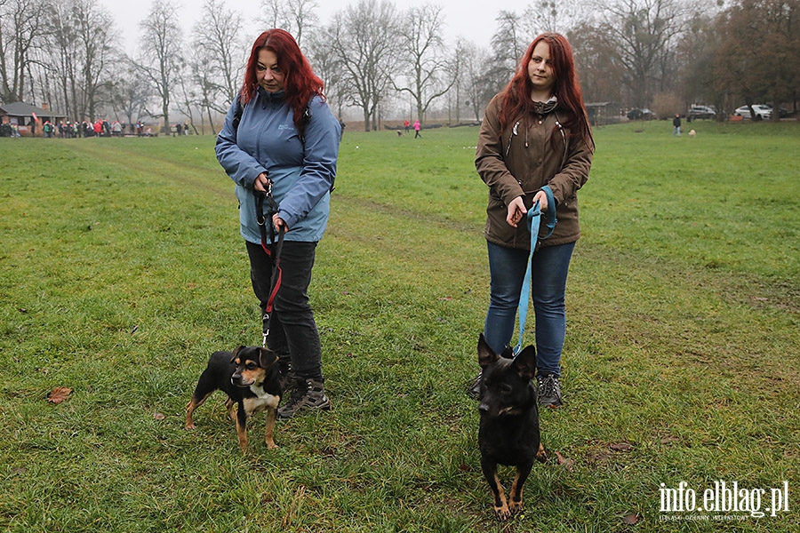 Mikoajkowy Bieg na 6 ap, fot. 13