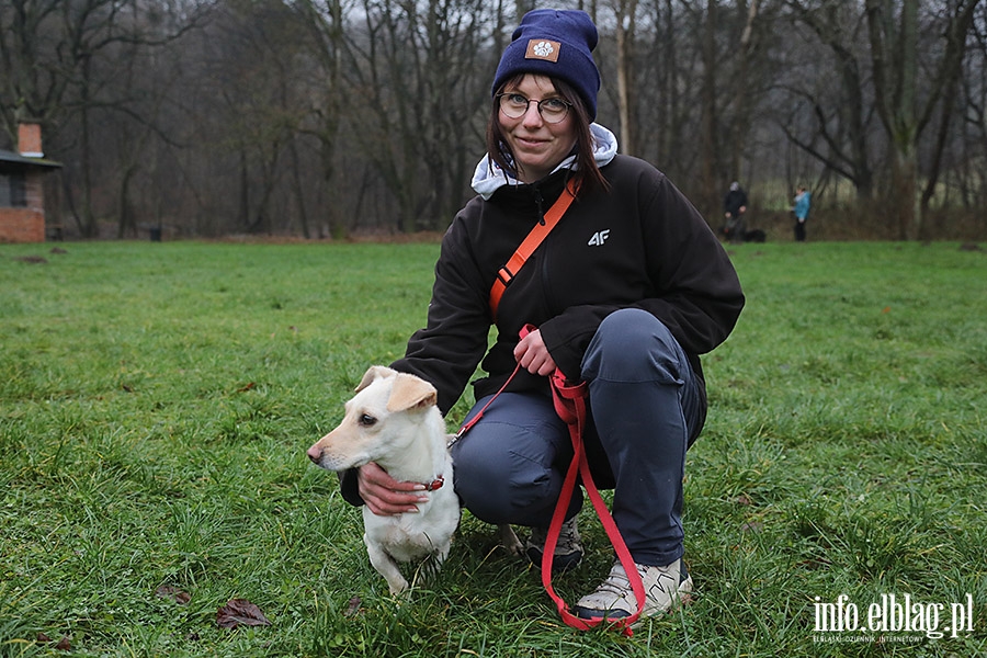 Mikoajkowy Bieg na 6 ap, fot. 14