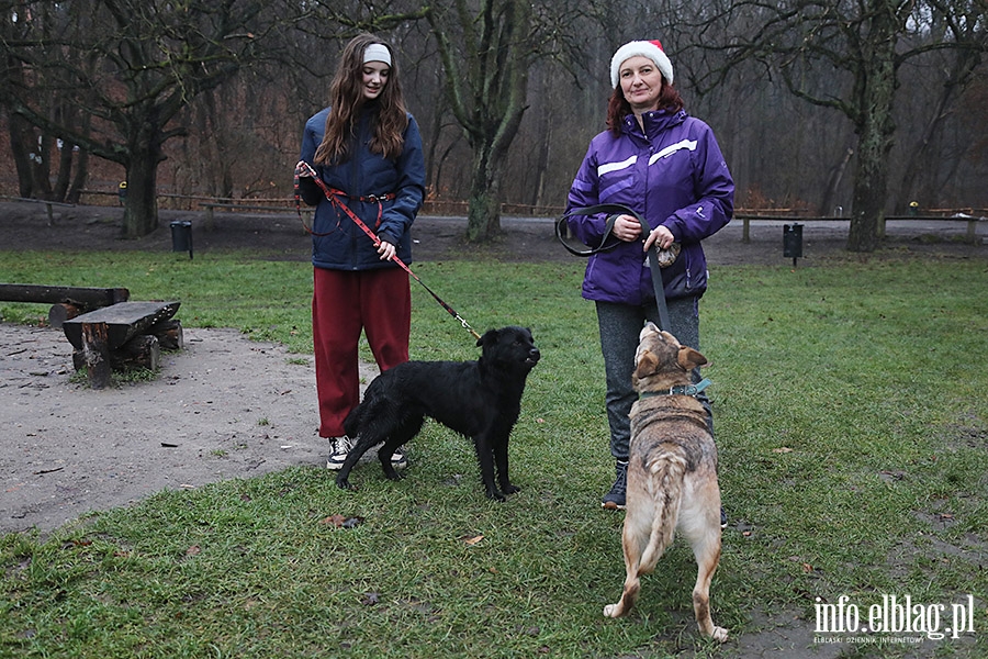 Mikoajkowy Bieg na 6 ap, fot. 15