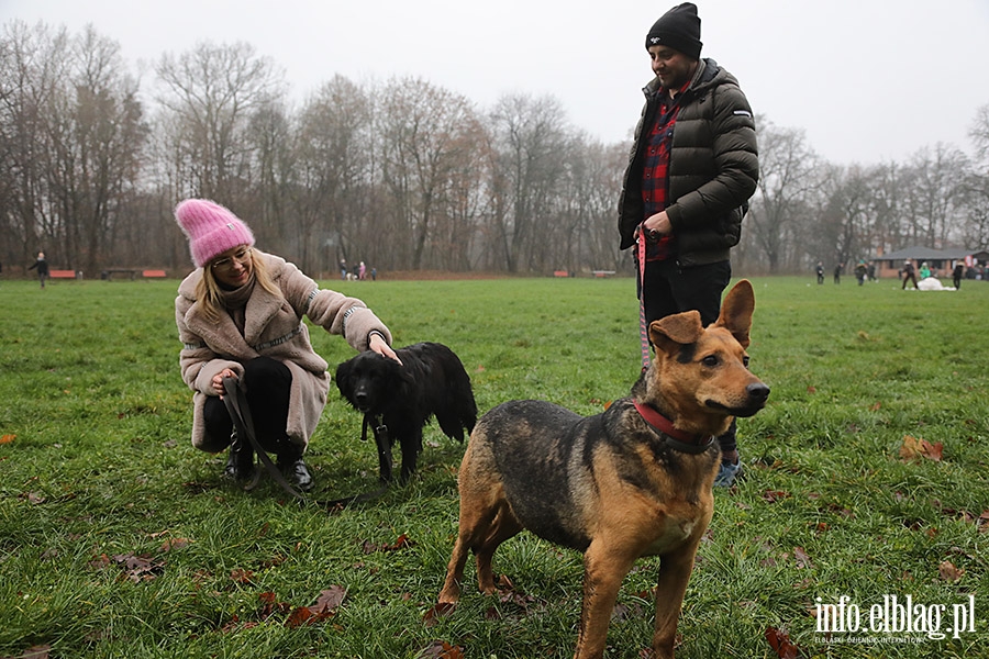 Mikoajkowy Bieg na 6 ap, fot. 16