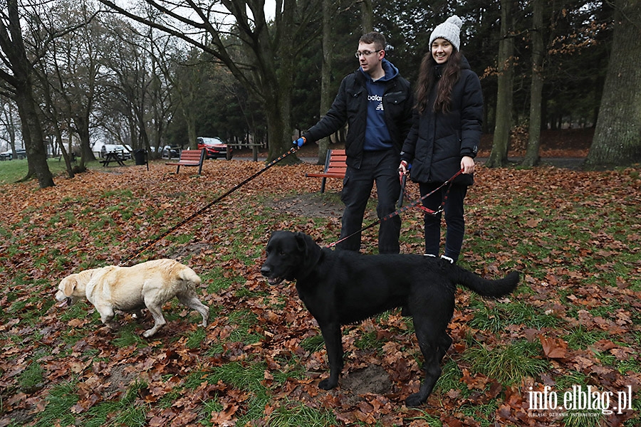 Mikoajkowy Bieg na 6 ap, fot. 17