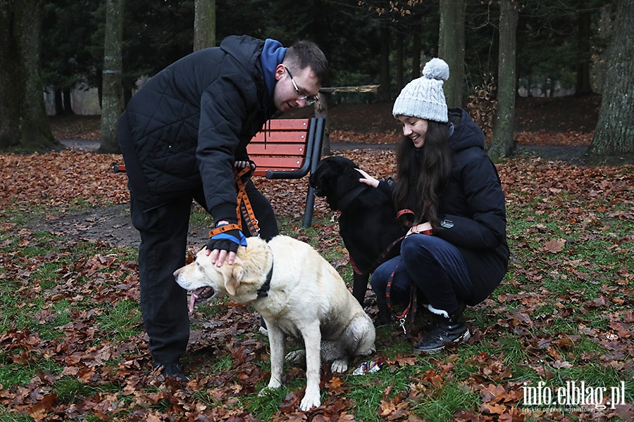 Mikoajkowy Bieg na 6 ap, fot. 18