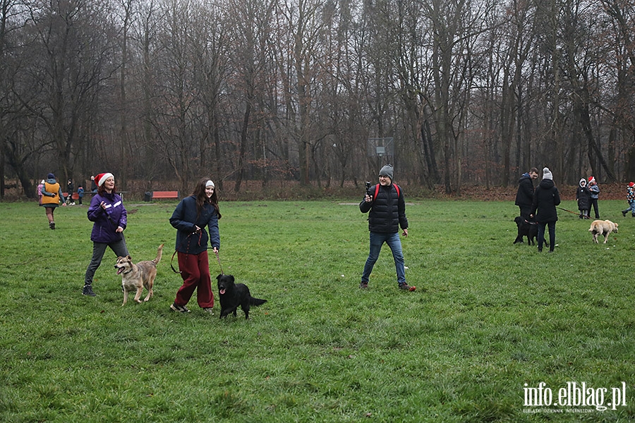 Mikoajkowy Bieg na 6 ap, fot. 19