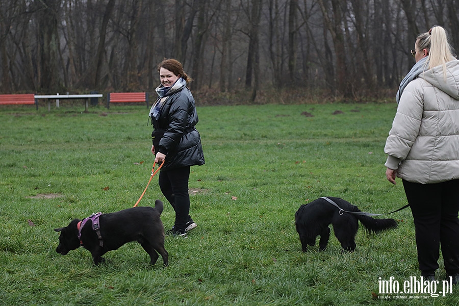 Mikoajkowy Bieg na 6 ap, fot. 20