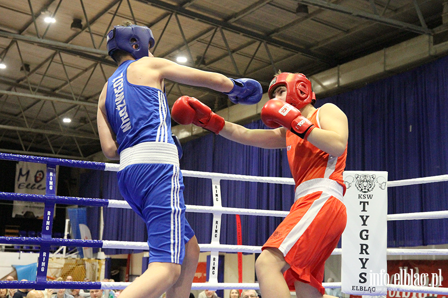 Mikoajkowy Turniej Tygrysa 2025, fot. 89