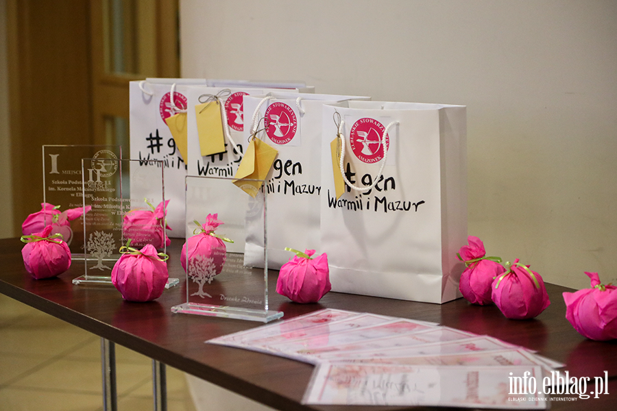 Gala Wolontariuszy, fot. 7