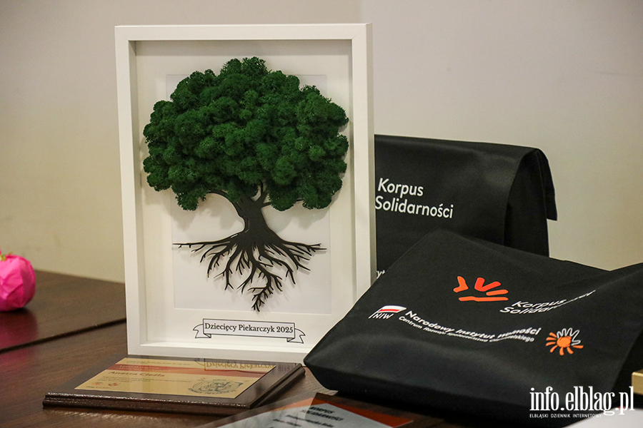 Gala Wolontariuszy, fot. 8