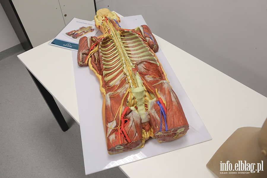 Pokaz nowego sprztu w AMiSNS, fot. 32