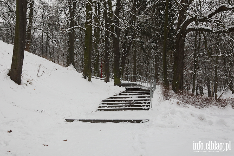 Park dolinka w zimowy wydaniu, fot. 1