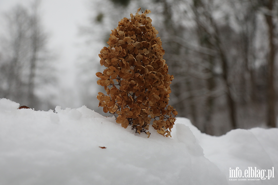 Park dolinka w zimowy wydaniu, fot. 10