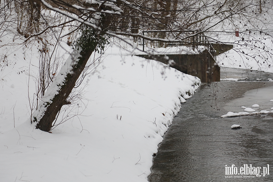 Park dolinka w zimowy wydaniu, fot. 11