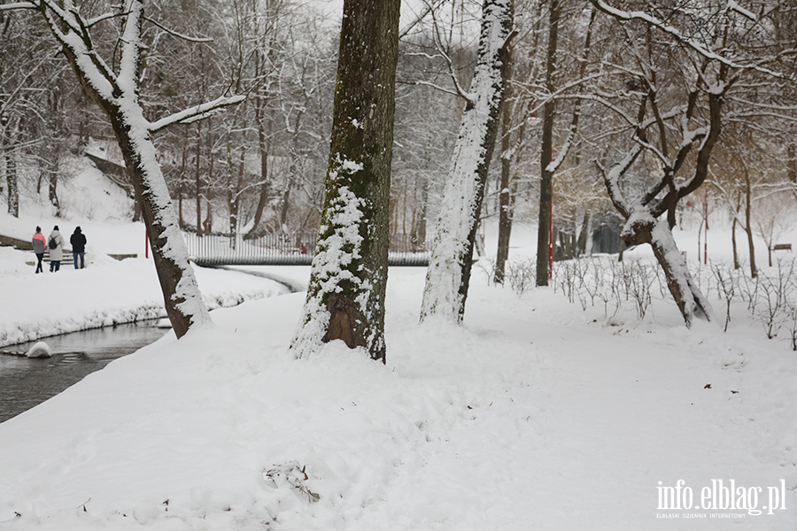 Park dolinka w zimowy wydaniu, fot. 13