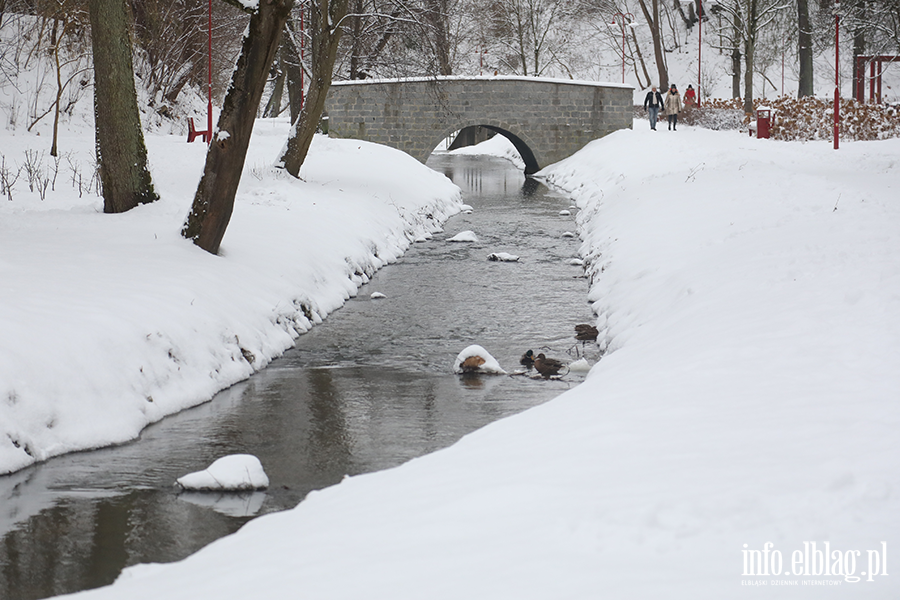 Park dolinka w zimowy wydaniu, fot. 22