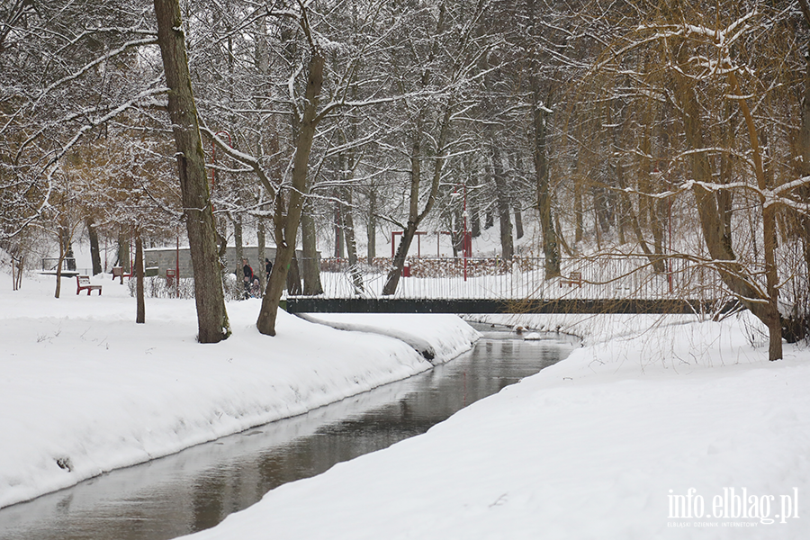 Park dolinka w zimowy wydaniu, fot. 25