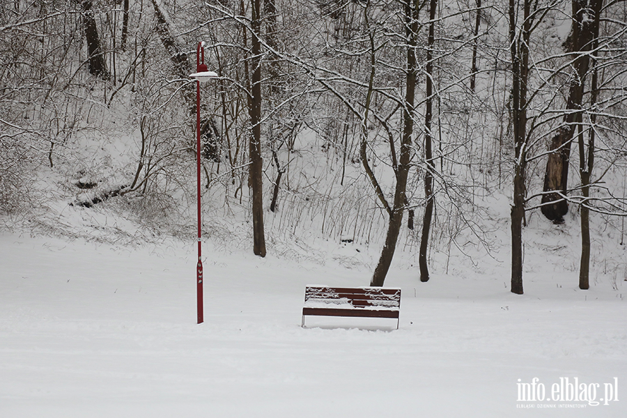 Park dolinka w zimowy wydaniu, fot. 28