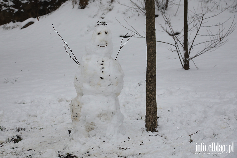 Park dolinka w zimowy wydaniu, fot. 29