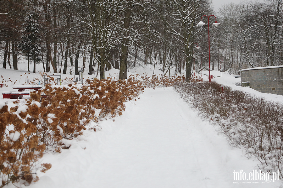 Park dolinka w zimowy wydaniu, fot. 30