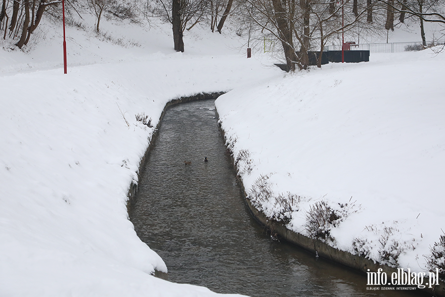 Park dolinka w zimowy wydaniu, fot. 32