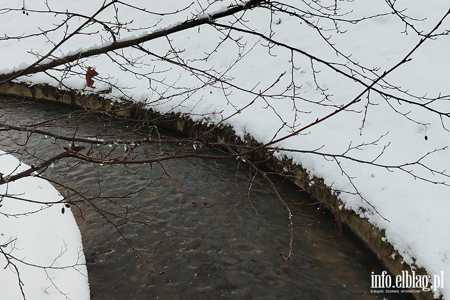 Park dolinka w zimowy wydaniu, fot. 34