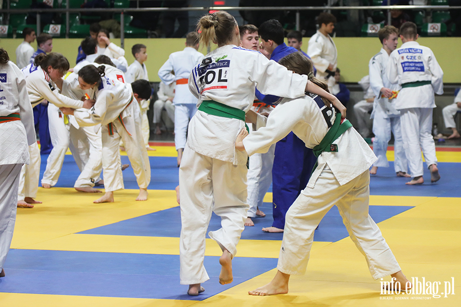 Elbl�g ponownie sta� si� polsk� stolic� judo, fot. 1
