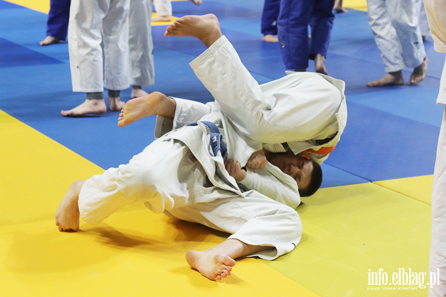 Elbl�g ponownie sta� si� polsk� stolic� judo, fot. 42