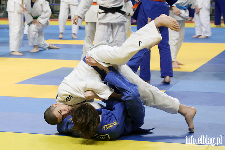 Elbl�g ponownie sta� si� polsk� stolic� judo, fot. 50