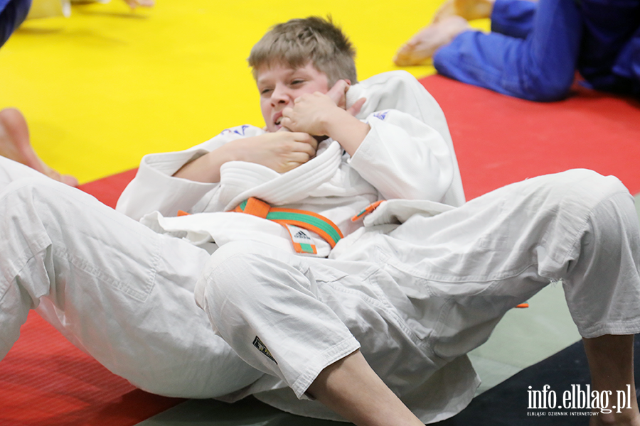 Elbl�g ponownie sta� si� polsk� stolic� judo, fot. 68