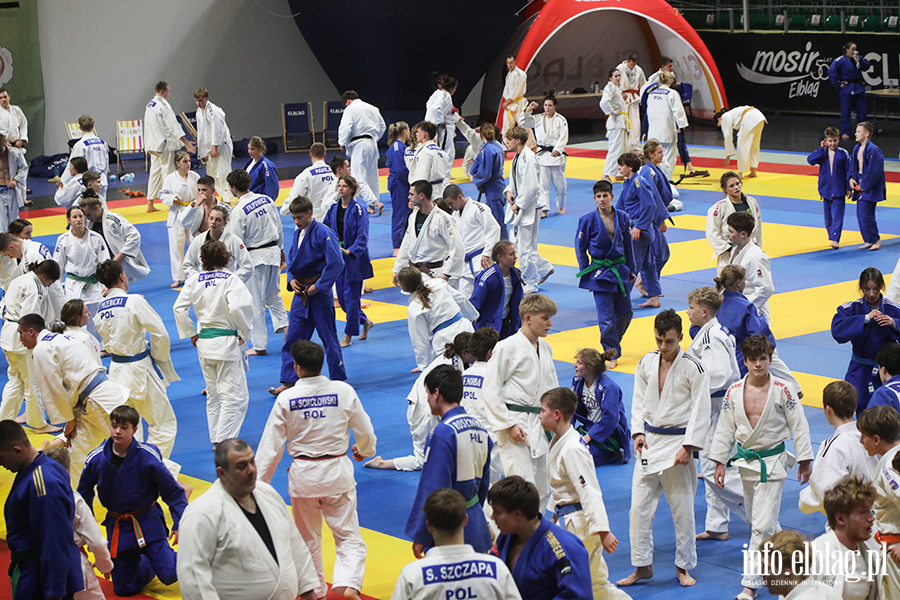 Elbl�g ponownie sta� si� polsk� stolic� judo, fot. 84