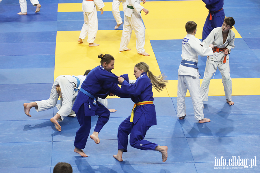 Elbl�g ponownie sta� si� polsk� stolic� judo, fot. 86