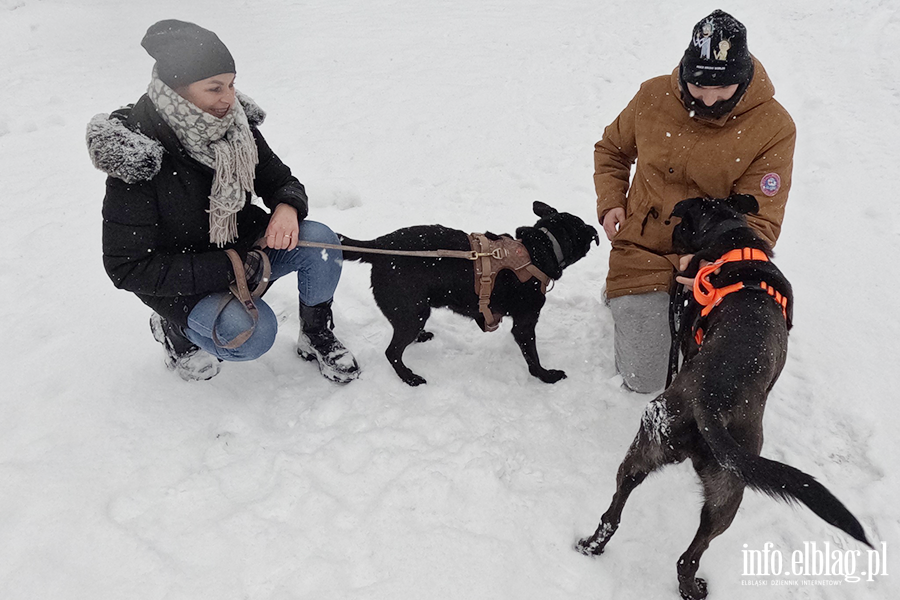 Noworoczny Bieg na 6 �ap