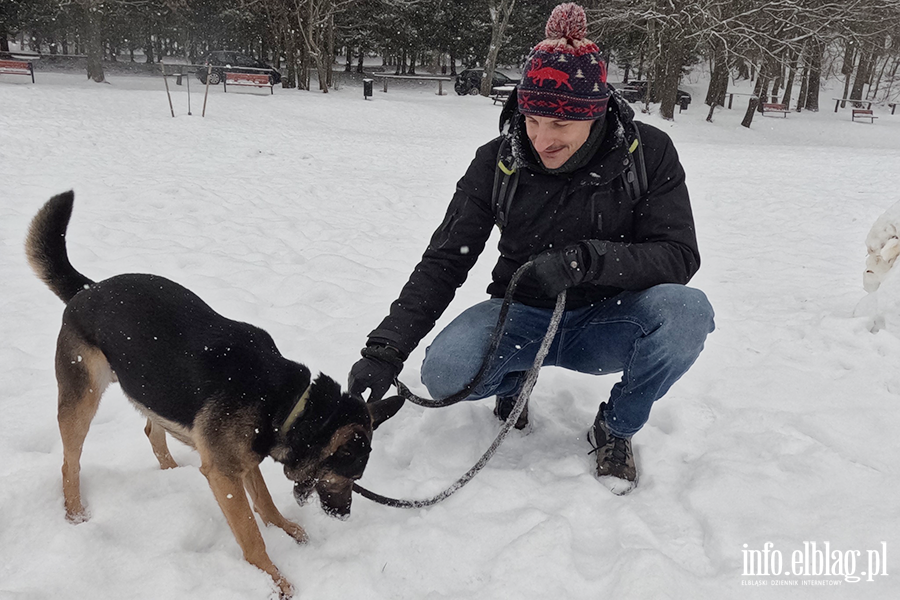 Noworoczny Bieg na 6 �ap, fot. 3