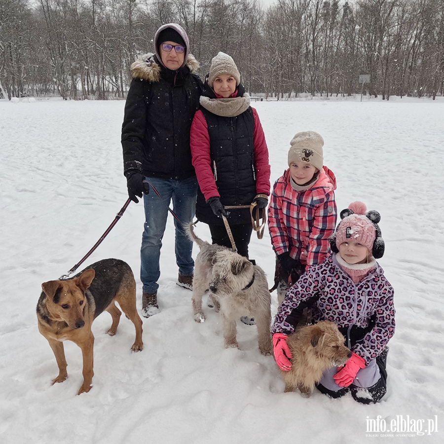 Noworoczny Bieg na 6 �ap, fot. 6