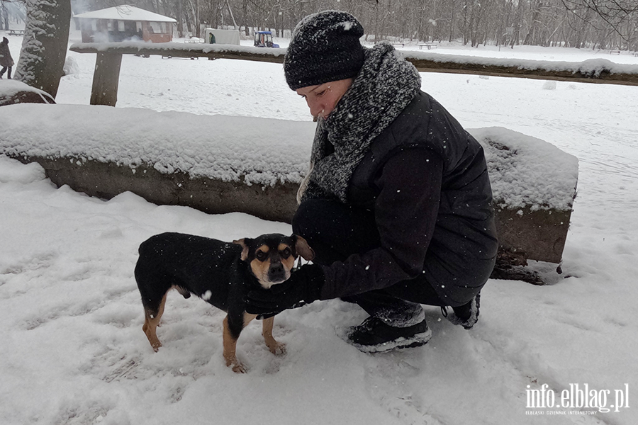 Noworoczny Bieg na 6 �ap, fot. 8