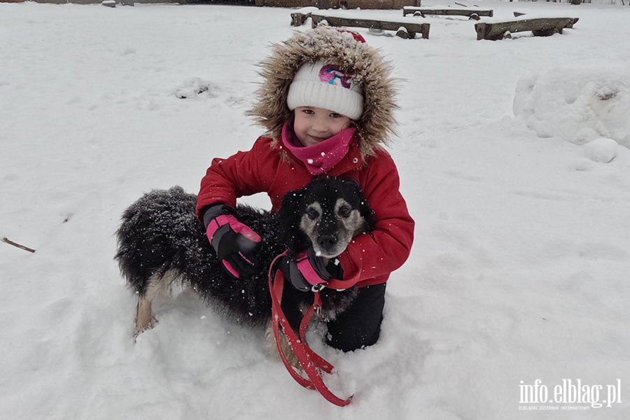 Noworoczny Bieg na 6 �ap, fot. 9