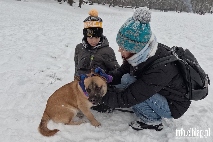 Noworoczny Bieg na 6 �ap, fot. 11