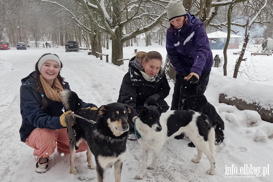 Noworoczny Bieg na 6 �ap, fot. 12