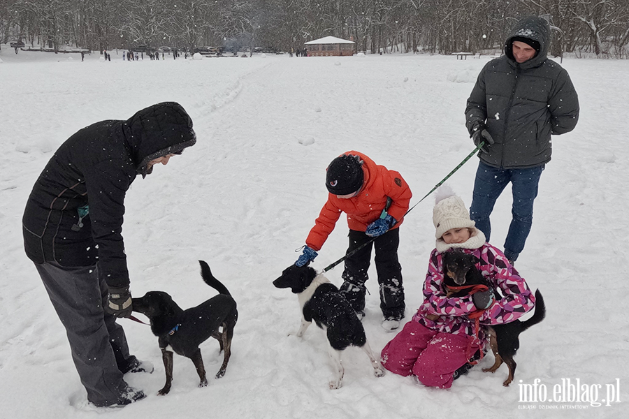 Noworoczny Bieg na 6 �ap, fot. 13