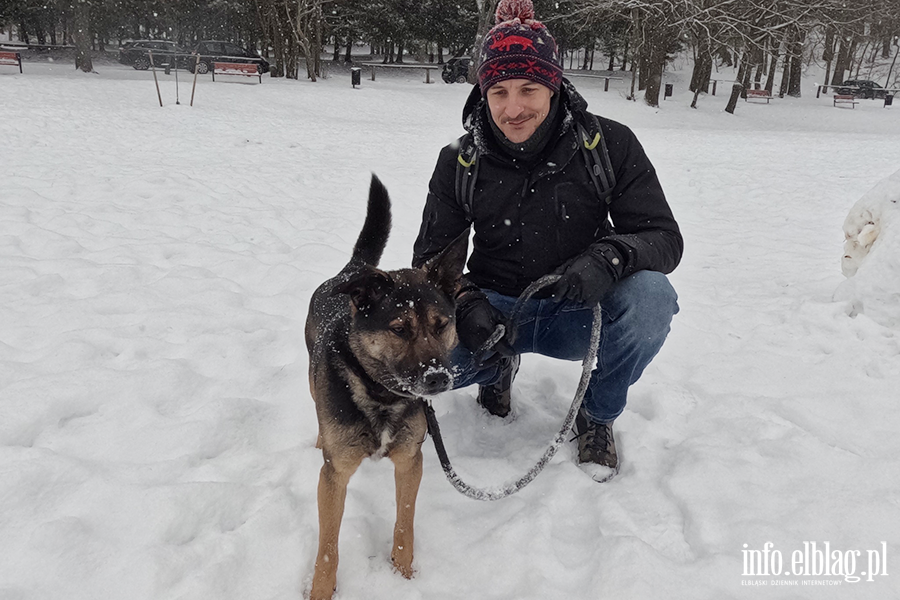 Noworoczny Bieg na 6 �ap, fot. 14