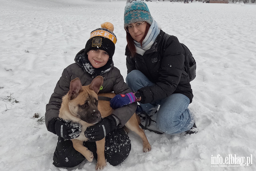 Noworoczny Bieg na 6 �ap, fot. 17