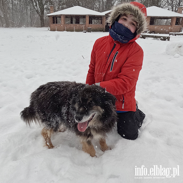 Noworoczny Bieg na 6 �ap, fot. 19