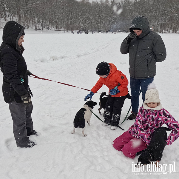 Noworoczny Bieg na 6 �ap, fot. 20