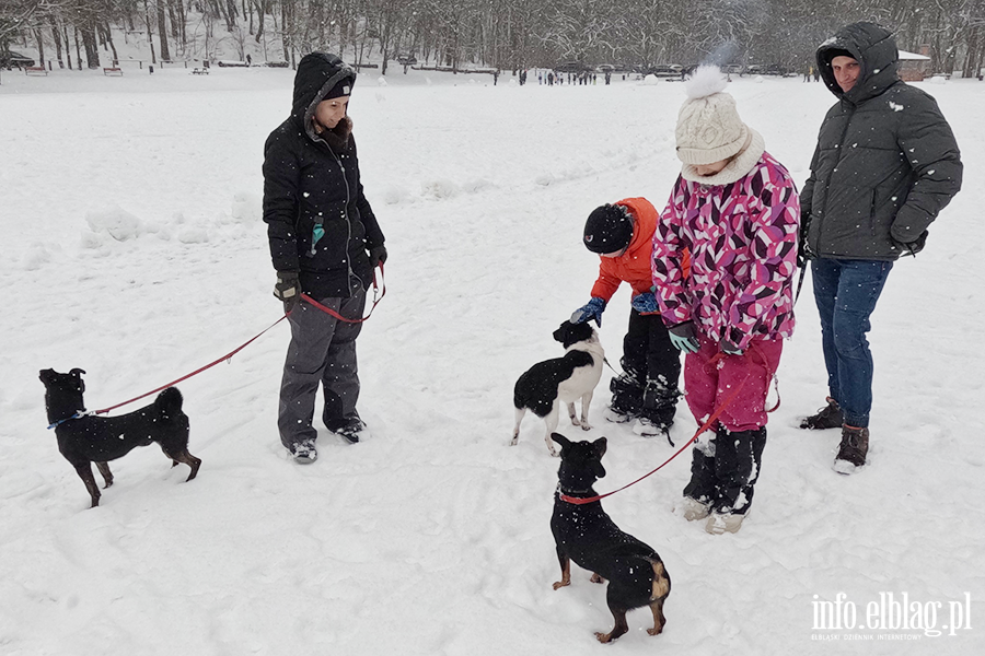 Noworoczny Bieg na 6 �ap, fot. 23