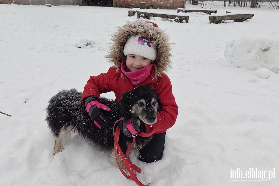 Noworoczny Bieg na 6 �ap, fot. 25