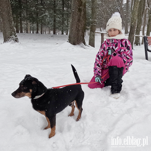 Noworoczny Bieg na 6 �ap, fot. 26