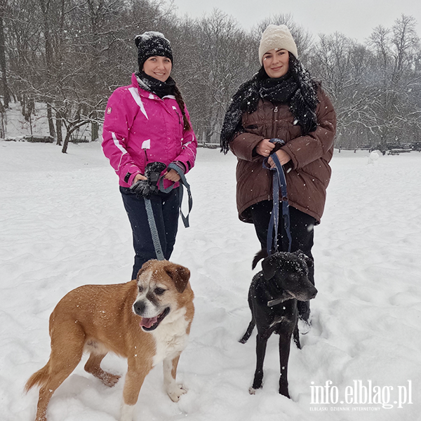 Noworoczny Bieg na 6 �ap, fot. 28